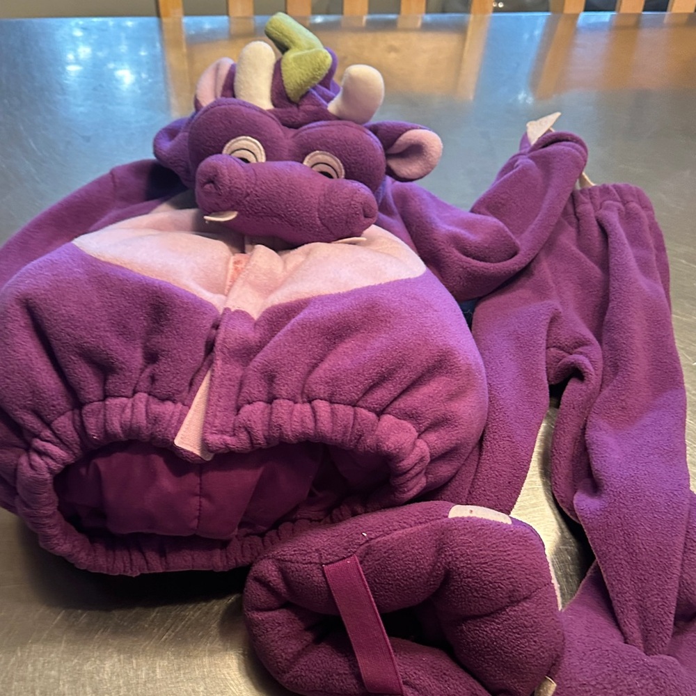 Purple Dragon Costume for Kids